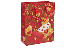 Подарунковий пакет серця та конверти 23х18х8см