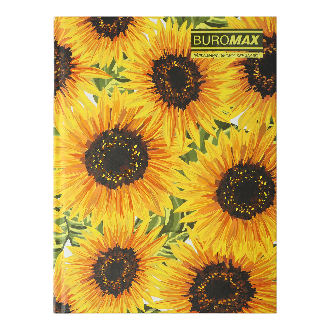 Записна книжка FLORISTICA, А5, 96 арк., клітинка, тверда картонна обкладинка, салатова BM.24511104-15