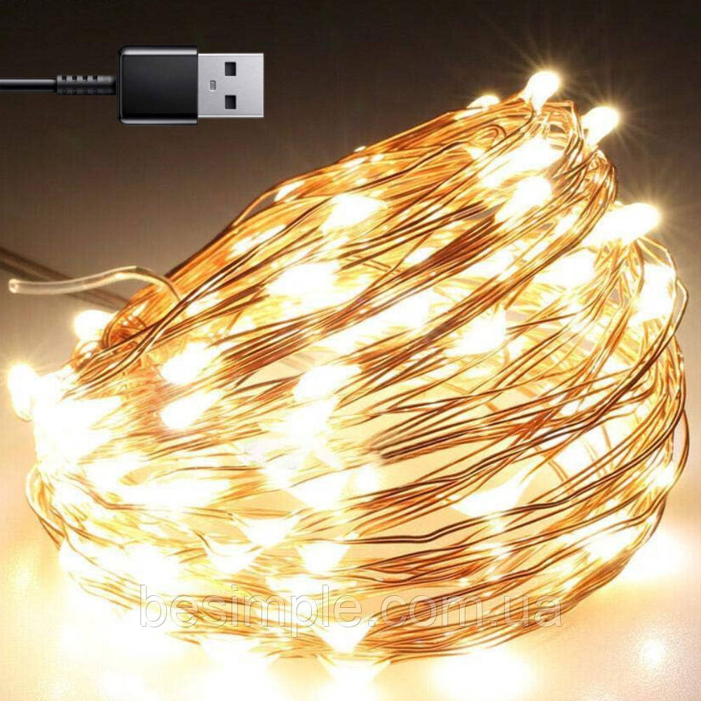 Гірлянда роса від USB, 3м, 30LED, Теплий білий / Світлодіодна гірлянда на ялинку / Новорічна LED гірлянда, фото 1