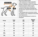 Куртка для собак з принтом такса,  XL, чорна, фото 5