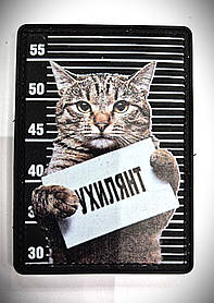 Шеврон "Кіт з написом" ПВХ