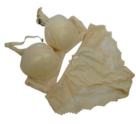 Набір бюстгальтер пушап і сліпи Biweier 87729 80В-XL бежевий