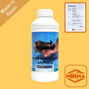 Astral Pool, 1л хімія для басейну проти водоростей. Альгіцид рідина для басейну від зелені, цвітіння води