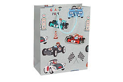 Подарунковий пакет Гоночні машини з 3Д ефектом 23х18х8см