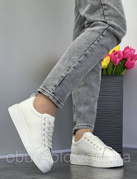 Кросівки шкіряні жіночі AESD, фото 1