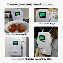 Потужний 3-в-1 озонатор-дезінфектор повітря, води та продуктів 500 мг/годину Doctor-101 з автоматичним озонуванням Cyclone., фото 5
