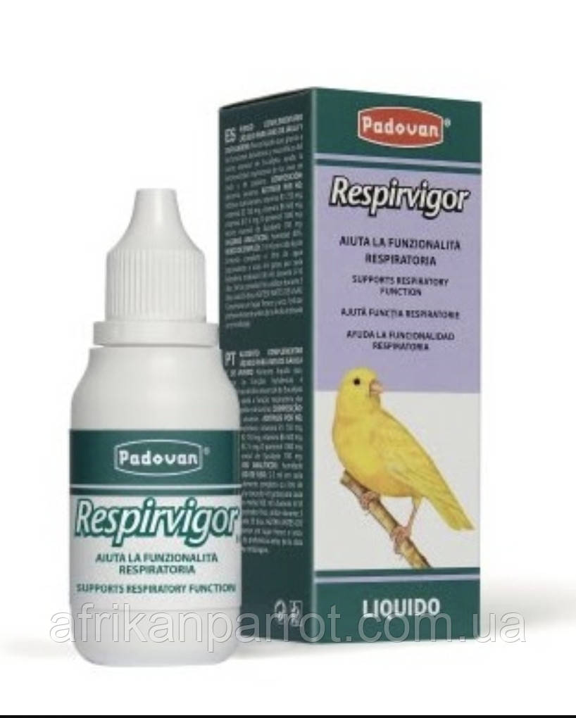 RESPIRVIGOR 

ПАДОВАН РЕСПІРВІГОР