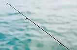 Спінінгове вудилище Daiwa 21 Gekkabijin MX, фото 4