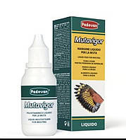 MUTAVIGOR
ПАДОВАН МУТАВІГОР