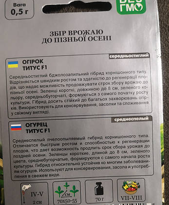 Огірок Тітус F1 20 нас., фото 4