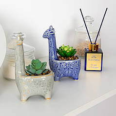 СКЛАДНИЙ РОЗТРИМ У ГОРШКУ ЖИРАФ 15.5 СМ