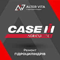 Гідроциліндри CASE