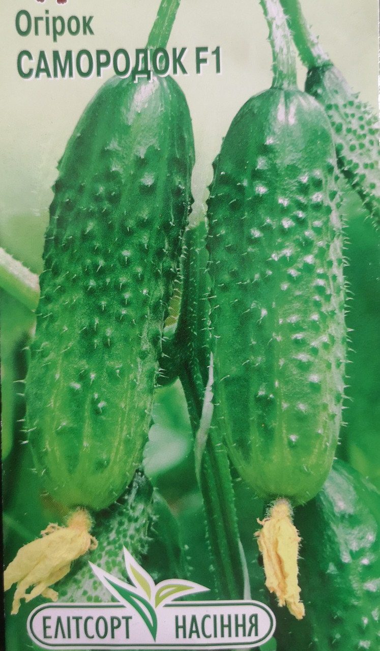 Огірок Самородок F1 15 нас.