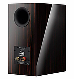 Dynaudio Special Forty Black Vine, фото 3