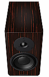 Dynaudio Special Forty Black Vine, фото 4