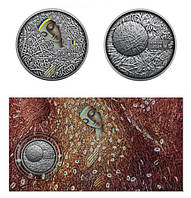 Пам'ятна монета Пльонтанізм Іван Марчук 5 гривень Україна 2024 рік UNC у буклеті