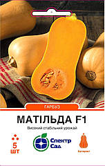 Гарбуз столовий Матільда F1 5 шт