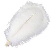 Пір'я білі страусині натуральні для декору 10 шт.
