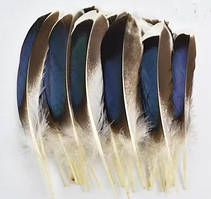 Пір'я натуральні качки декоративної 20 шт.