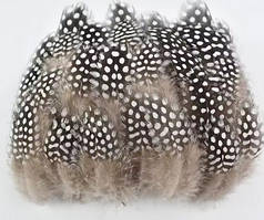 Пір'я цесарки декоративні натуральні набір 20 шт.