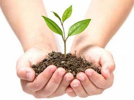 Захист рослин