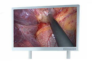 Монітори Full HD