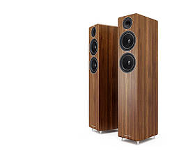 Acoustic Energy AE309 Walnut