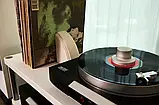 Mark Levinson ML №5105 MC, фото 6