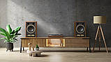 Tannoy Super Gold Monitors SGM 10, фото 3