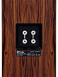 ProAc Response D20 R Black Ash, фото 4