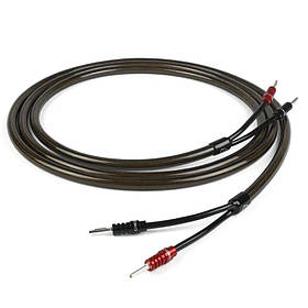Chord EpicX Speaker Cable 3m terminated pair