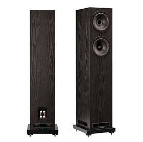 Fyne Audio F501E