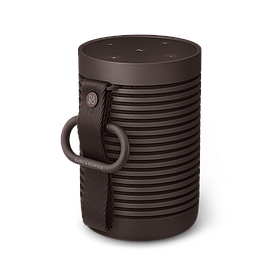 Bang & Olufsen Beosound Explore Chestnut