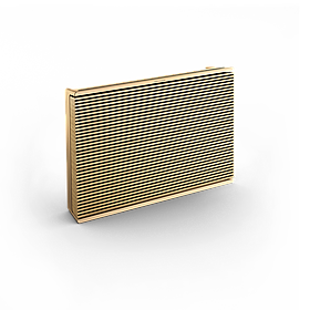 Bang & Olufsen Beosound Level Gold Tone