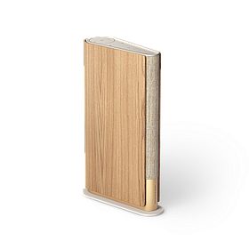 Bang & Olufsen Beosound Emerge