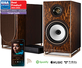 Triangle Capella Brown Nebula