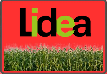 Насіння кукурудзи Euralis