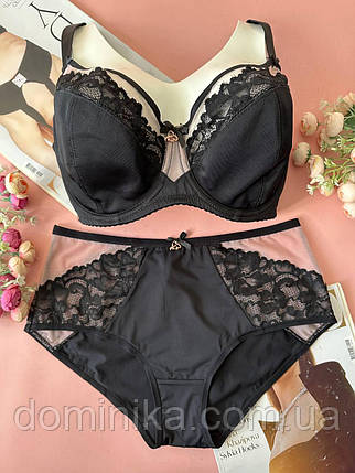 80/85/90D Комплект спідньої білизни D бюстгальтер з трусикам чорно-бежевий, фото 1