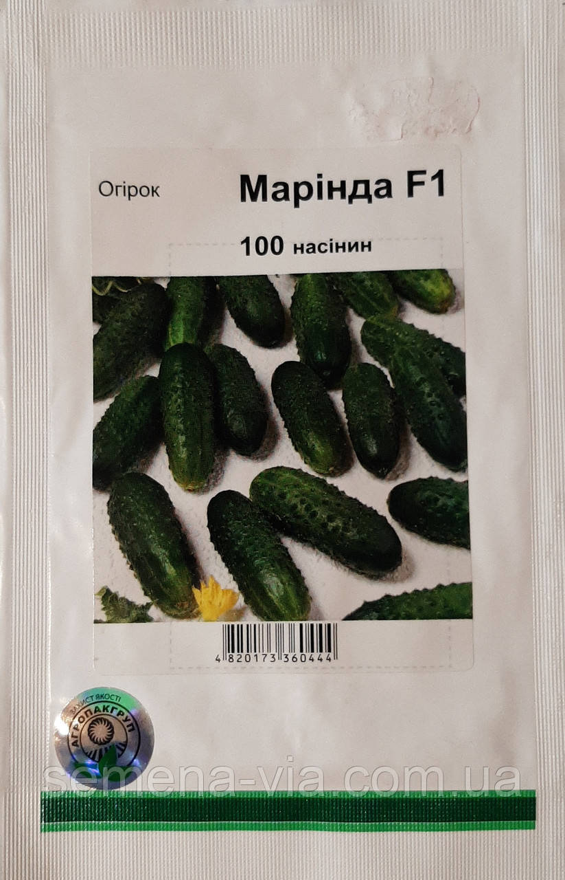 Огірок Марінда F1 (100 насінин) Голандія ТМ Імперія насіння