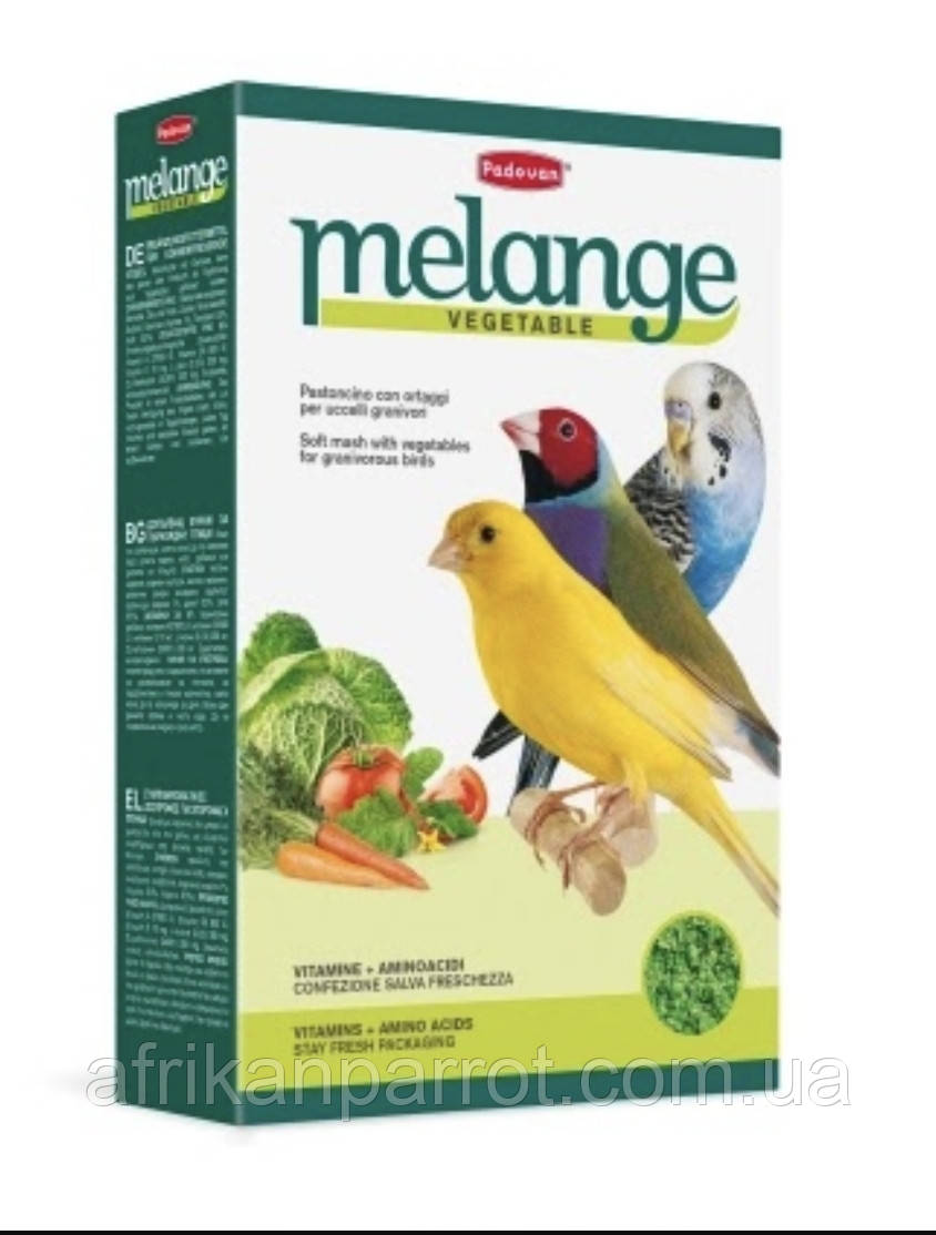 MÉLANGE VEGETABLE

Папован Меланж Веджетабл, фото 1