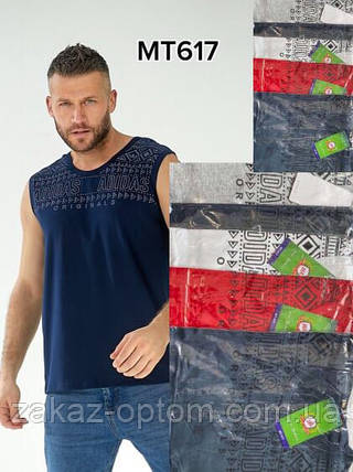 Майка чоловіча оптом (2XL-5XL) Китай МТ617-131136, фото 1