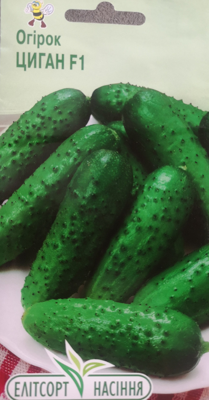 Огірок Циган F1 20нас