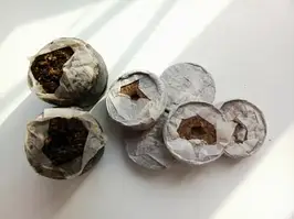 Вироби з торфу та кокосу (торфяні таблетки, горщики)