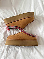 Зимові Жіночі Черевики UGG Tasman Platform Chestnut Brown / УГГ Тасман Платформ Чеснат Коричневі, фото 6