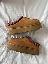 Зимові Жіночі Черевики UGG Tasman Platform Chestnut Brown / УГГ Тасман Платформ Чеснат Коричневі, фото 5