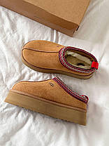 Зимові Жіночі Черевики UGG Tasman Platform Chestnut Brown / УГГ Тасман Платформ Чеснат Коричневі, фото 4