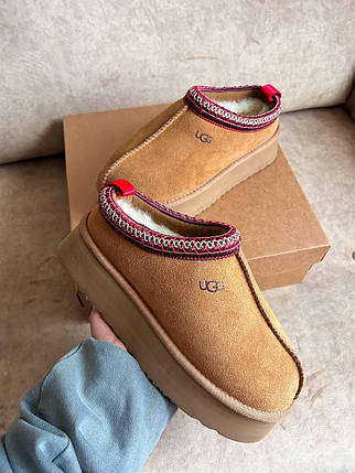 Зимові Жіночі Черевики UGG Tasman Platform Chestnut Brown / УГГ Тасман Платформ Чеснат Коричневі, фото 1