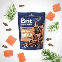 Ласощі для собак Brit Premium Semi-moist Snacks Salmon with Dill напіввологі з лососем та кропом 180 г, фото 2