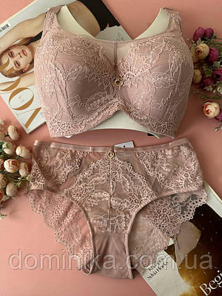 85/90/95/100D Мереживна жіноча спідня білизна комплект D четвертий розмір грудей пудровий, фото 1