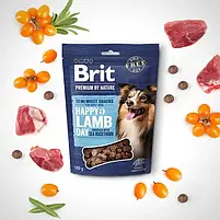 Ласощі для собак Brit Premium Semi-moist Snacks Lamb with Sea Buckthorn напіввологі з ягнятком і обліпихою 180 г, фото 3